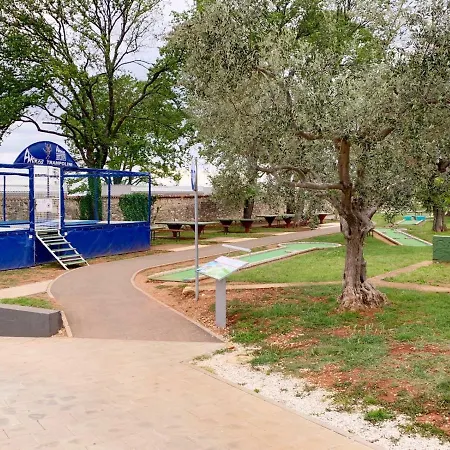 The Place Novigrad Istria